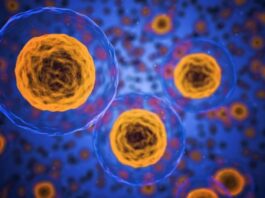 Una terapia génica restaura el sistema inmunitario en 48 niños con una enfermedad hereditaria