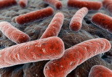 El Fondo GHIT anuncia una nueva inversión para identificar nuevos fármacos contra la tuberculosis