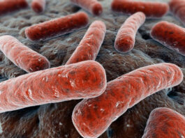El Fondo GHIT anuncia una nueva inversión para identificar nuevos fármacos contra la tuberculosis