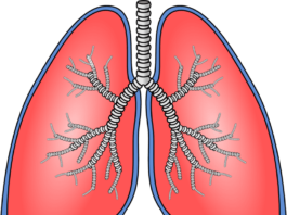 El estudio colaborativo proporciona una mayor comprensión de la fibrosis pulmonar idiopática