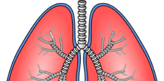 El estudio colaborativo proporciona una mayor comprensión de la fibrosis pulmonar idiopática