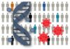 Identificadas 13 regiones del genoma relacionadas con la susceptibilidad a COVID-19 o la gravedad de la enfermedad