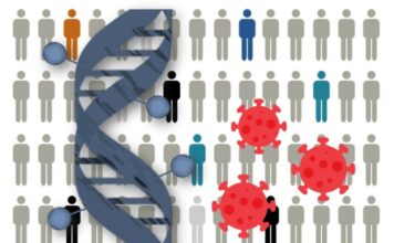Identificadas 13 regiones del genoma relacionadas con la susceptibilidad a COVID-19 o la gravedad de la enfermedad