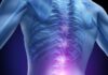 Los pacientes con ELA presentan alteraciones lipídicas en las células de la médula espinal