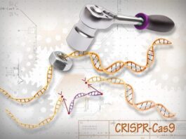 Prometedores datos preliminares del primer CRISPR in vivo en humanos