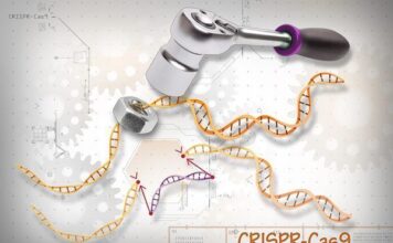 Prometedores datos preliminares del primer CRISPR in vivo en humanos