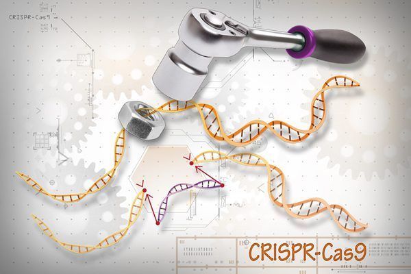 Prometedores datos preliminares del primer CRISPR in vivo en humanos