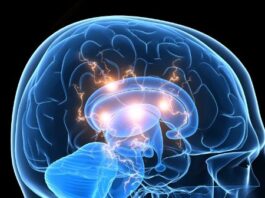 Reducen más del 30% el volumen de un glioblastoma en base a un casco que genera un campo magnético oscilante
