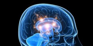 Reducen más del 30% el volumen de un glioblastoma en base a un casco que genera un campo magnético oscilante
