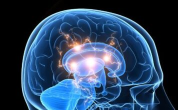 Reducen más del 30% el volumen de un glioblastoma en base a un casco que genera un campo magnético oscilante