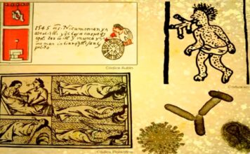 75% de enfermedades emergentes pueden tener origen zoonótico