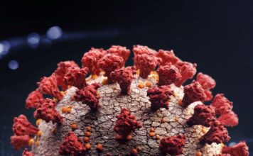 El anticuerpo de I-Mab para COVID-19 severo luce bien en un análisis intermedio