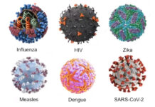 No patógena, la mayoría de los virus