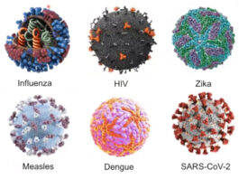 No patógena, la mayoría de los virus