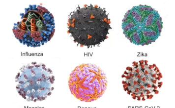 No patógena, la mayoría de los virus