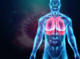SRI-41315, una molécula con potencial para tratar enfermedades como la fibrosis quística