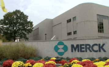 Welireg de Merck se convierte en el primer fármaco para los tumores de von Hippel-Lindau raros en EE.UU.