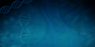 Enfermedades raras, síndrome de Floating-Harbour: un estudio italiano sobre BMC Biology