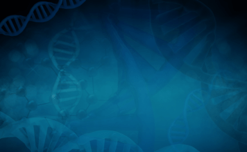Enfermedades raras, síndrome de Floating-Harbour: un estudio italiano sobre BMC Biology