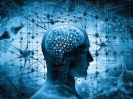La clasificación molecular de los meningiomas abre un camino hacia el mejor tratamiento de los pacientes