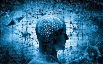 La clasificación molecular de los meningiomas abre un camino hacia el mejor tratamiento de los pacientes