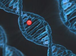 La nueva herramienta de diagnóstico para el colangiocarcinoma está aprobada por la FDA