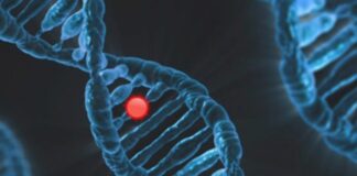 La nueva herramienta de diagnóstico para el colangiocarcinoma está aprobada por la FDA