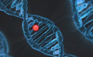 La nueva herramienta de diagnóstico para el colangiocarcinoma está aprobada por la FDA