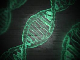 Las mutaciones de TP73 pueden aumentar el riesgo de esclerosis lateral amiotrófica