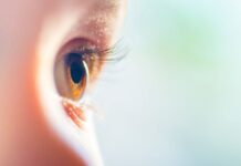Los fundadores de Spark lanzan Opus Genetics para abordar formas raras de ceguera