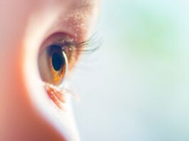 Los fundadores de Spark lanzan Opus Genetics para abordar formas raras de ceguera