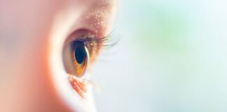 Los fundadores de Spark lanzan Opus Genetics para abordar formas raras de ceguera