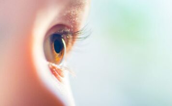 Los fundadores de Spark lanzan Opus Genetics para abordar formas raras de ceguera