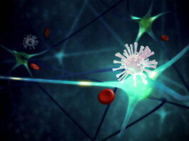 Relacionan el herpes simple con el desarrollo de enfermedades neurodegenerativas