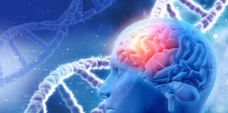 Síndrome de Joubert: incidencia y descripción clinicorradiológica de una serie genotipada de siete casos