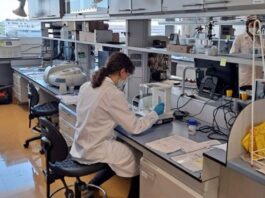 Terapias génicas, la solución de la falta de tratamientos en enfermedades raras