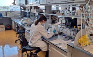 Terapias génicas, la solución de la falta de tratamientos en enfermedades raras