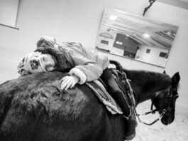 Equinoterapia, la mejor rehabilitación para ganar en calidad de vida