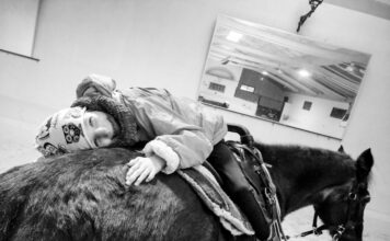 Equinoterapia, la mejor rehabilitación para ganar en calidad de vida