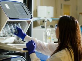 IMX-110 para sarcoma de tejidos blandos recibe la designación de fármaco huérfano