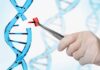 Krystal Biotech y GeneDx anuncian una colaboración para proporcionar pruebas genéticas gratuitas para pacientes con sospecha de epidermólisis ampollosa distrófica (DEB)