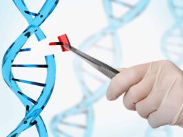 Krystal Biotech y GeneDx anuncian una colaboración para proporcionar pruebas genéticas gratuitas para pacientes con sospecha de epidermólisis ampollosa distrófica (DEB)