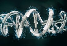 Las empresas firman acuerdos de licencia para expandir los programas de terapia génica