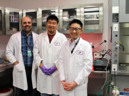 Una nueva investigación de USask contribuye a la comprensión de la fibrosis quística