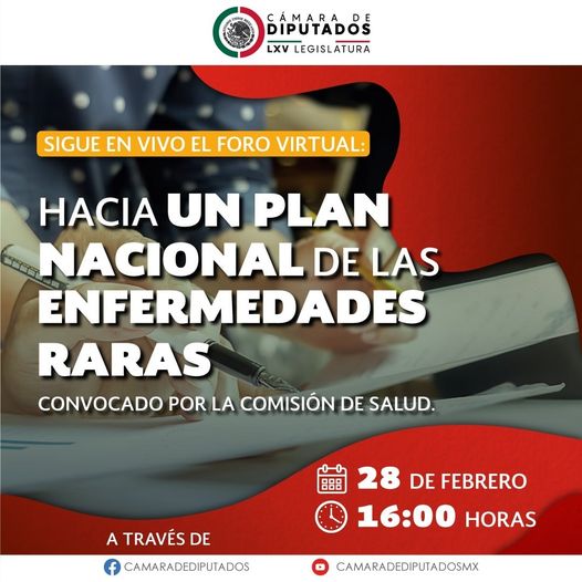 Foro virtual de los diputados de la Comisión de Salud: «Hacia un PlanER (Plan Nacional de Atención Integral a las Enfermedades Raras»