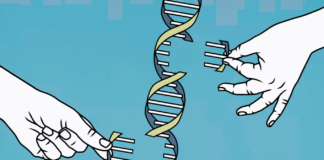 Decodificación del genoma humano, un logro de la humanidad: The Human Genome Project