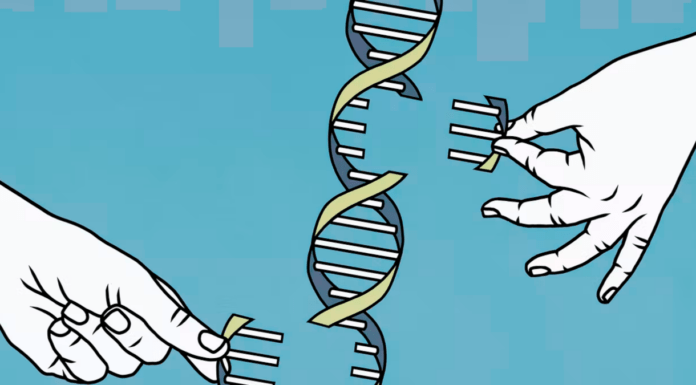 Decodificación del genoma humano, un logro de la humanidad: The Human Genome Project
