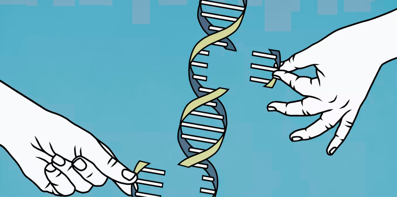 Decodificación del genoma humano, un logro de la humanidad: The Human Genome Project