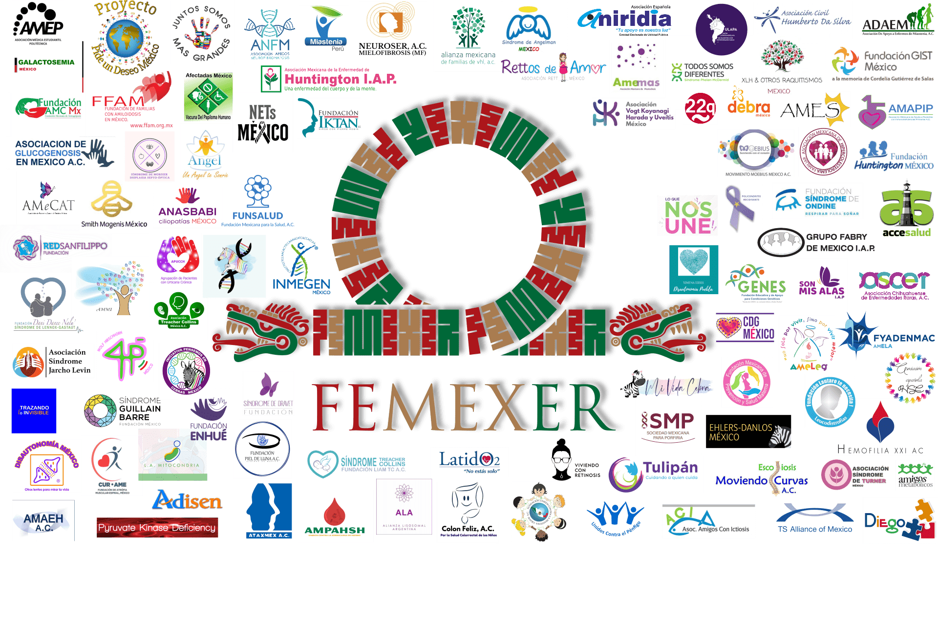Los aliados de FEMEXER son el elemento más valioso en el trabajo del cambio de paradigma en salud a favor de nuestra comunidad.
