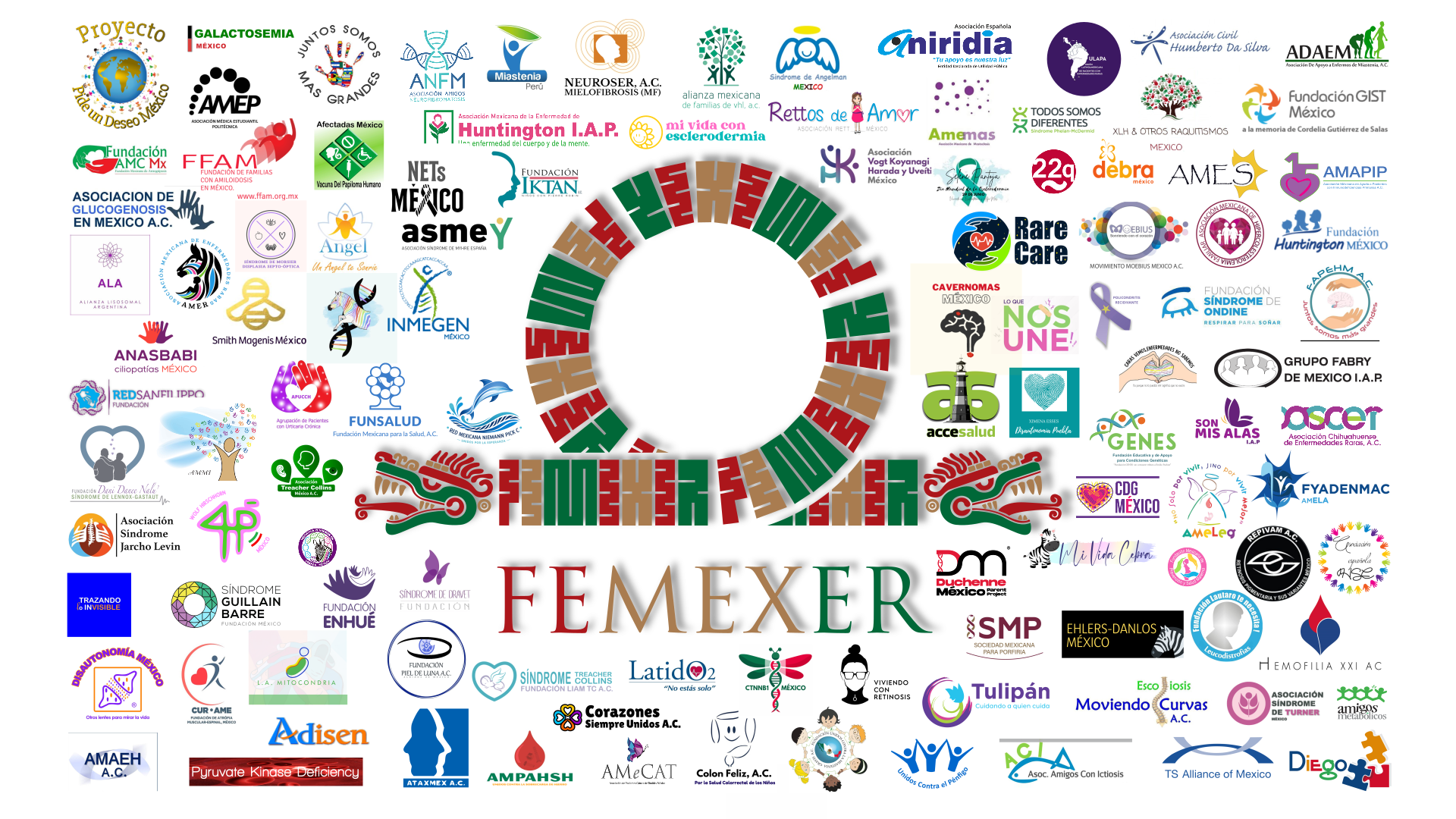 FEMEXER y sus casi 100 asociaciones de pacientes aliadas